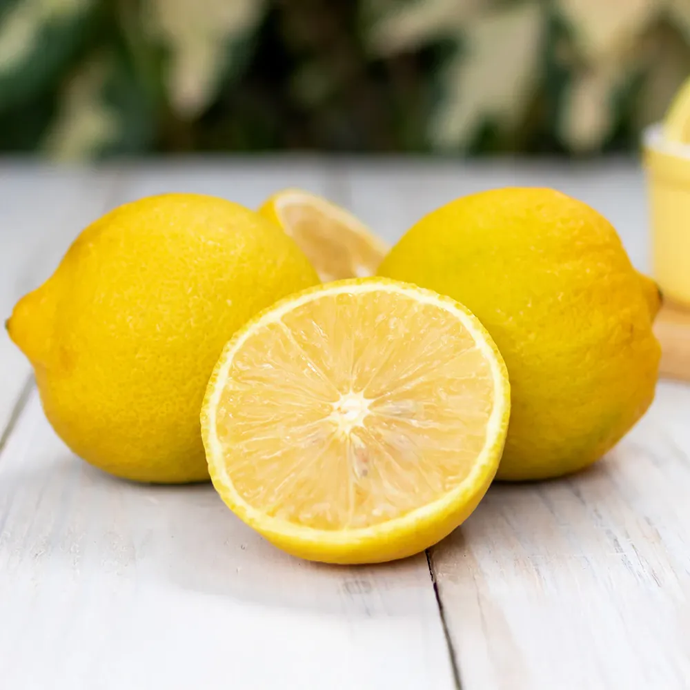 Lisbon Lemon Tree - Artificial Potted Citrus Plant for Indoor Decor